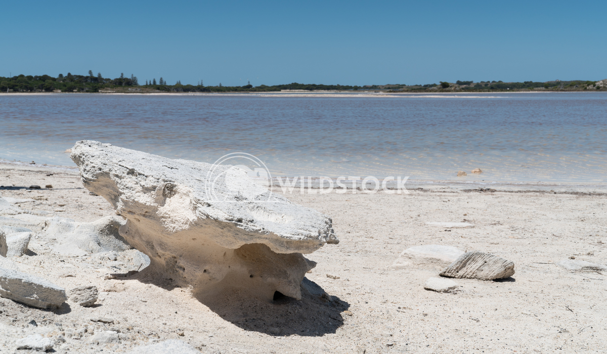 Salt lakes, Rottnest Island, Western Australia 4 Alexander Ludwig Landscape around the salt lakes of Rottnest Island, We