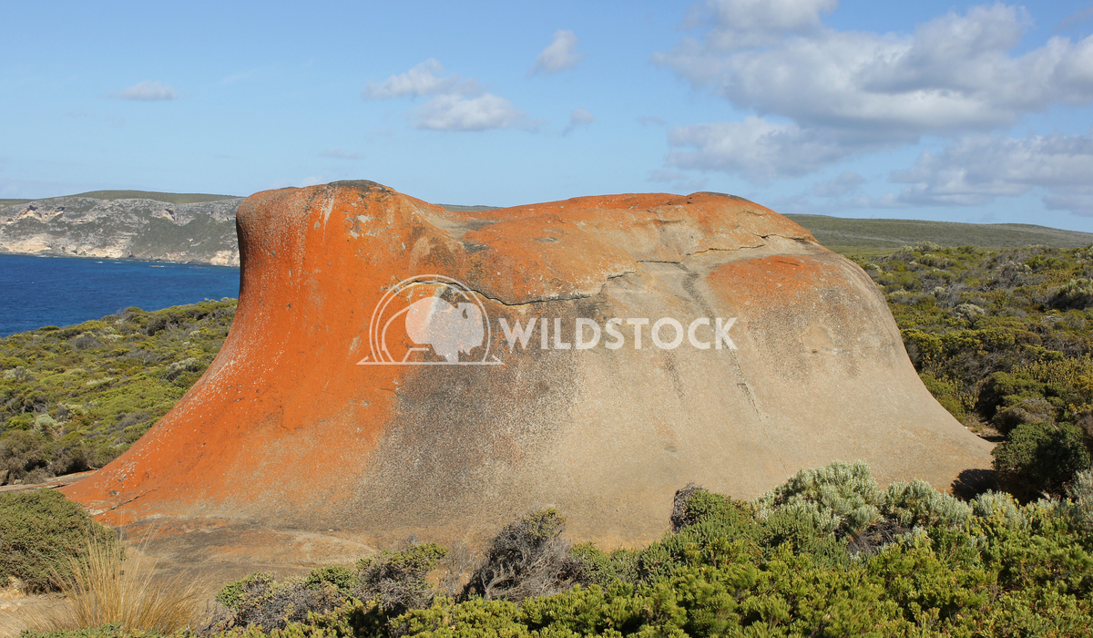 Remarkable rocks, Kangaroo Island 1 Alexander Ludwig Remarkable rocks, Kangaroo Island, South Australia
