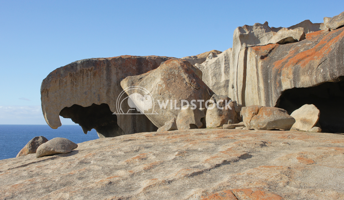 Remarkable rocks, Kangaroo Island 6 Alexander Ludwig Remarkable rocks, Kangaroo Island, South Australia