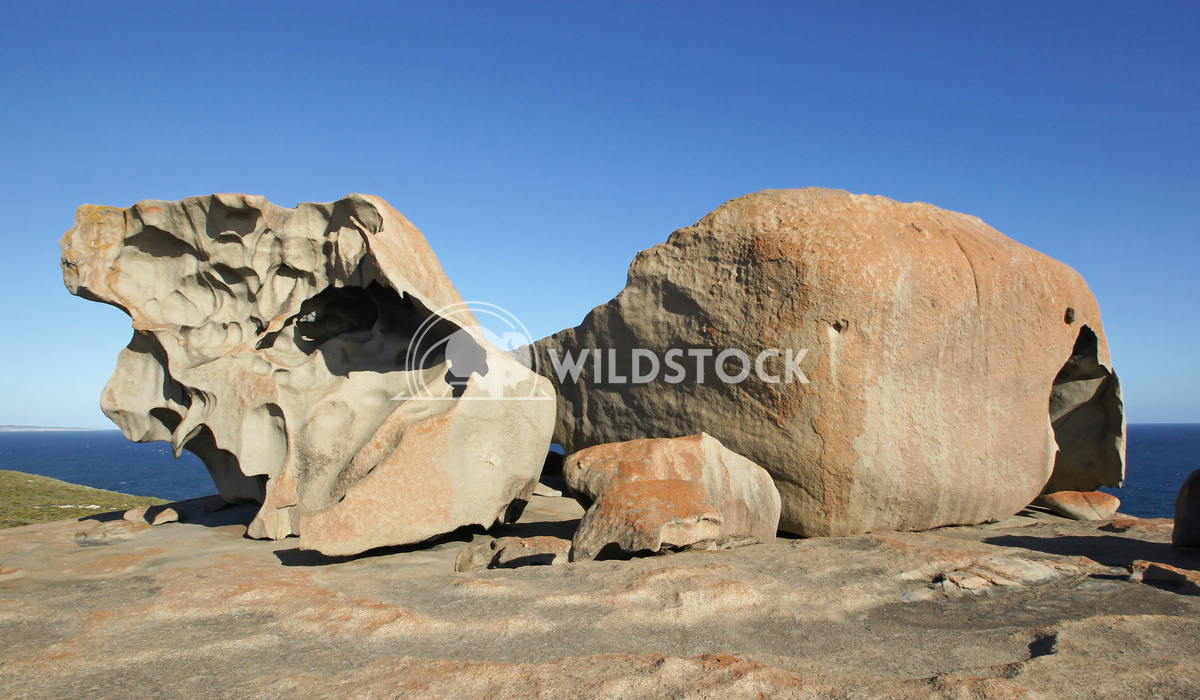 Remarkable rocks, Kangaroo Island 19 Alexander Ludwig Remarkable rocks, Kangaroo Island, South Australia