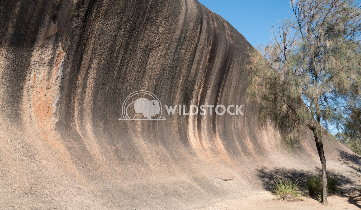 Wave Rock, Western Australia 5 Alexander Ludwig Spectacular Wave Rock, famous place in the outback of Western Australia