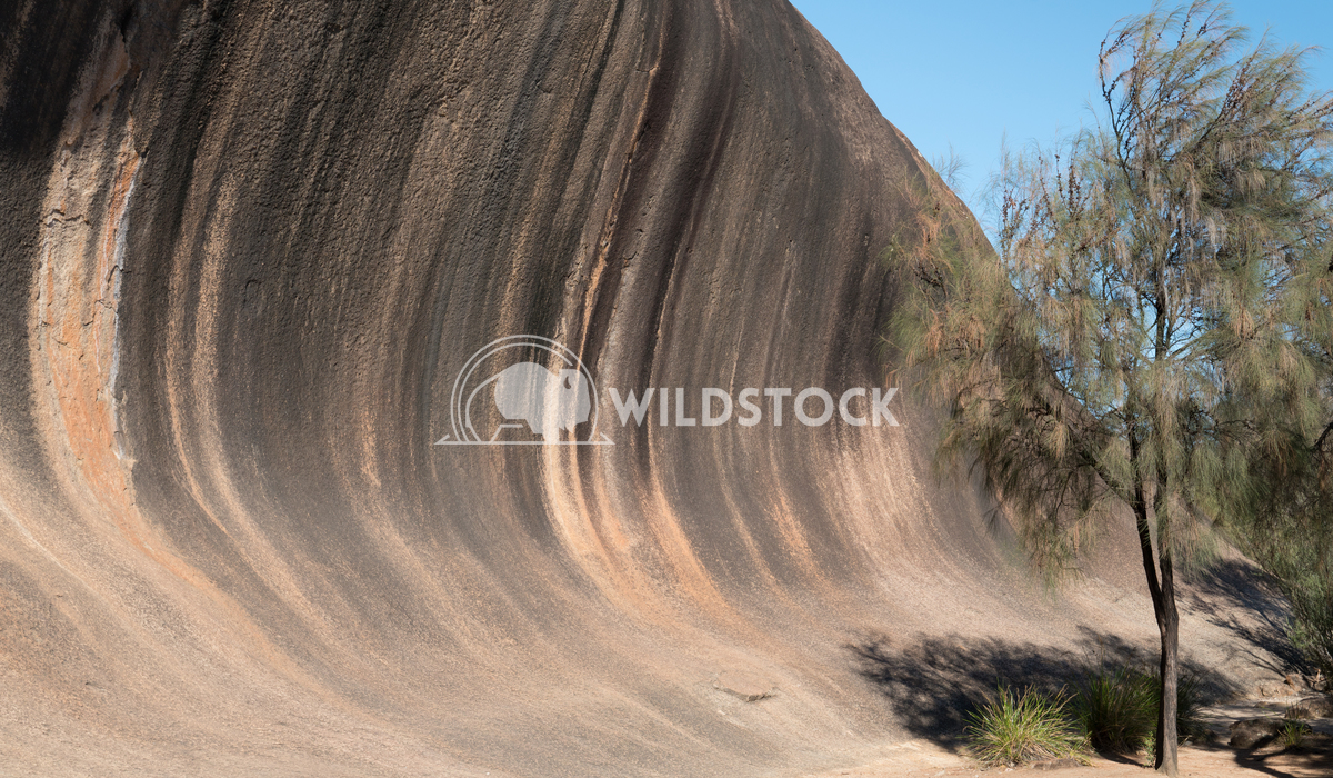 Wave Rock, Western Australia 4 Alexander Ludwig Spectacular Wave Rock, famous place in the outback of Western Australia