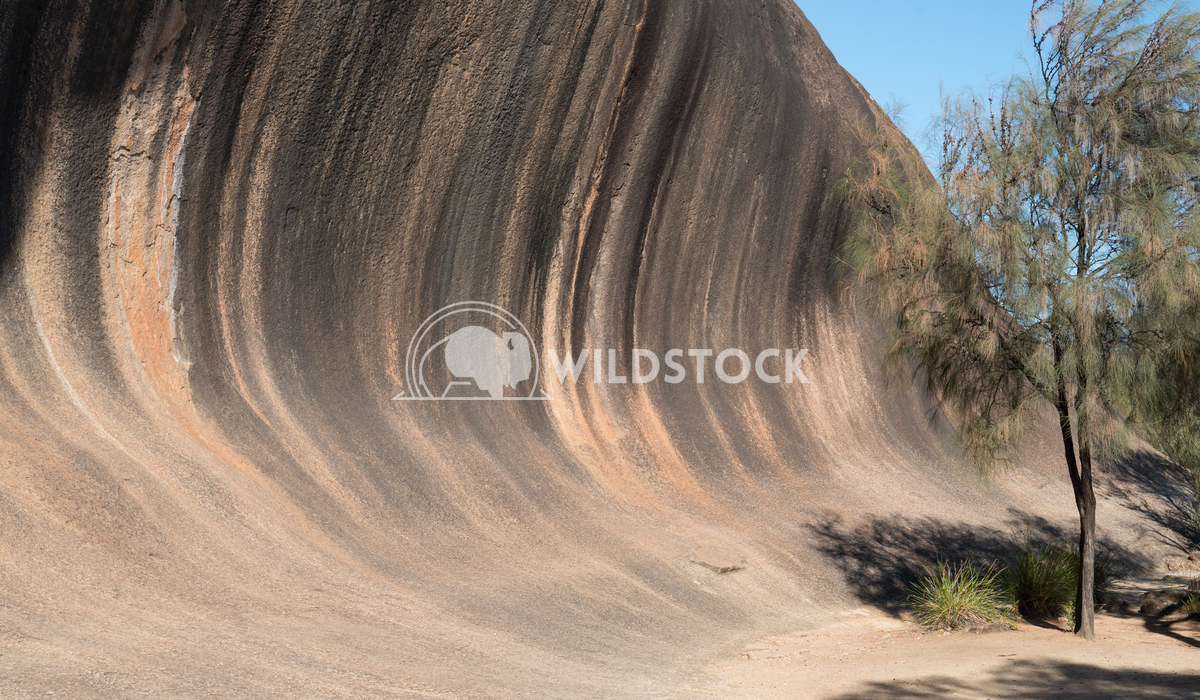 Wave Rock, Western Australia 3 Alexander Ludwig Spectacular Wave Rock, famous place in the outback of Western Australia