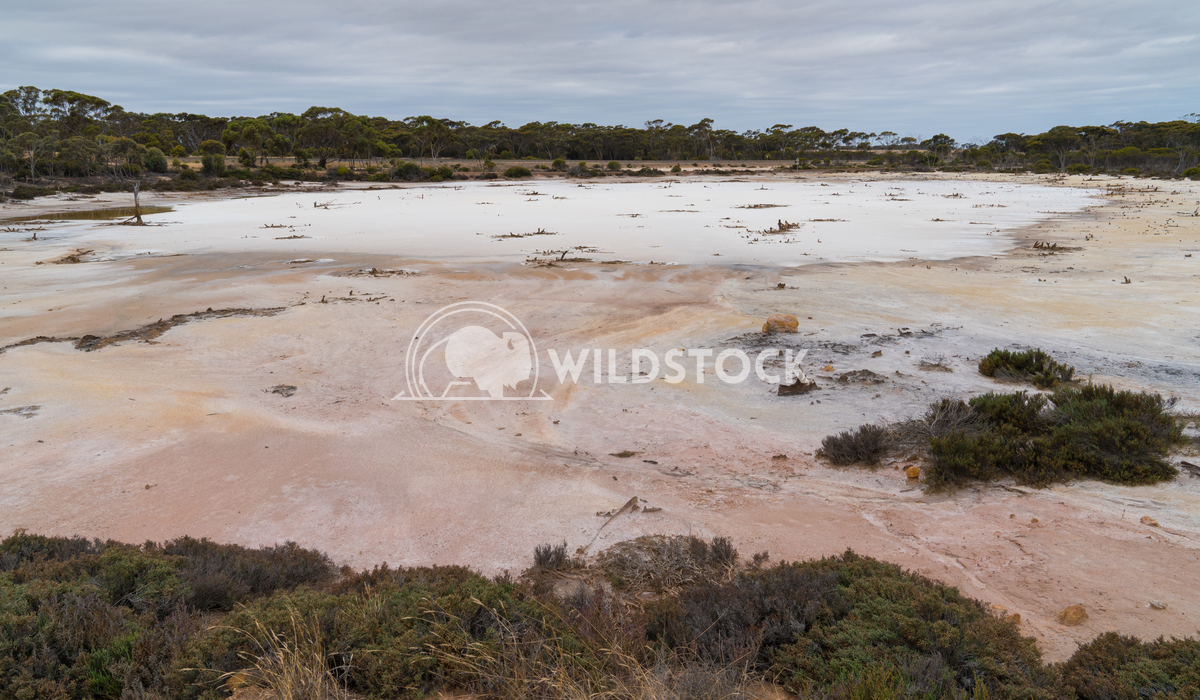 Salt lakes, Outback of Western Australia 2 Alexander Ludwig Landscape with salt lakes on an overcast day in Western Aust