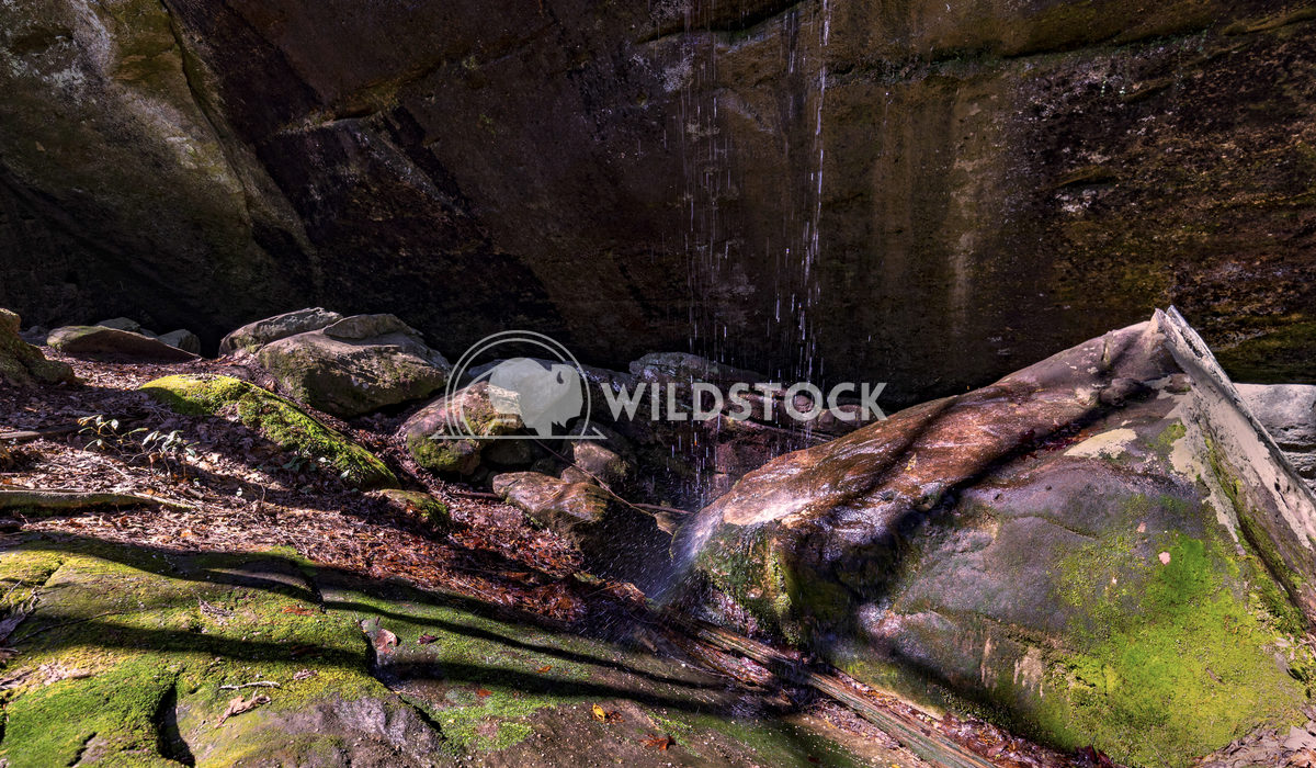 Shadow Water Tim Thompson This small waterfall has shaped and smoothed this boulder over the eons in Dismal's Canyon