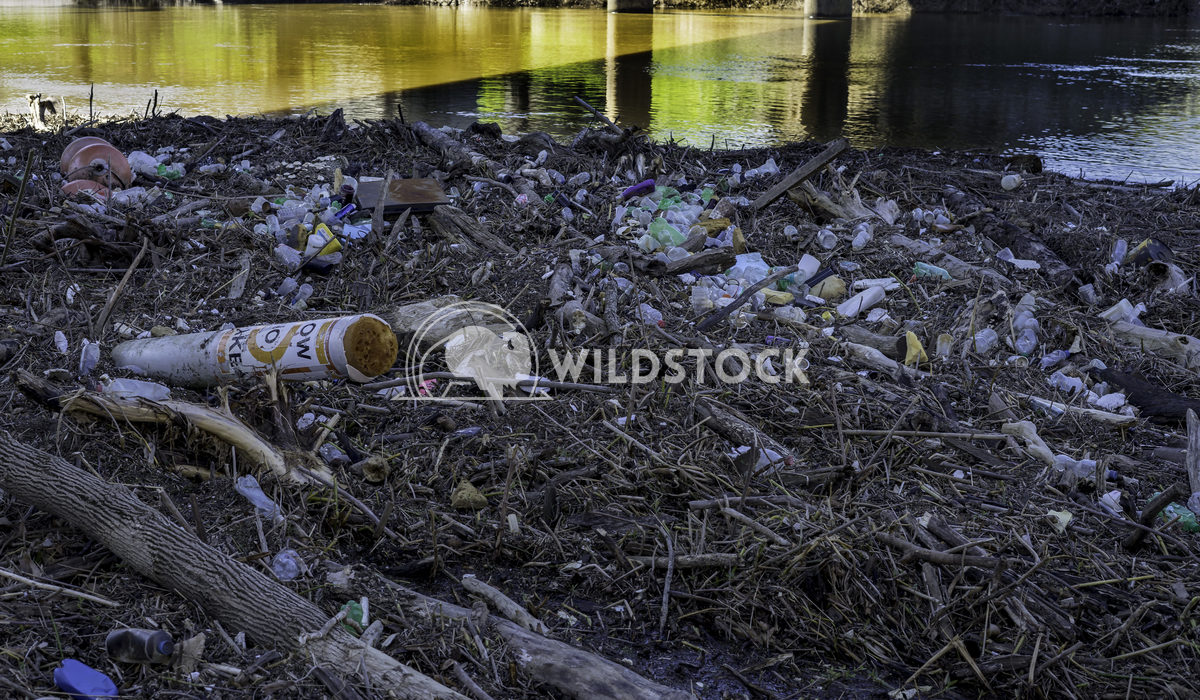 Choked by Plastic Tim Thompson This small log jam on the Tenn-Tom River in Columbus, Ms. shows the amount of plastic tha