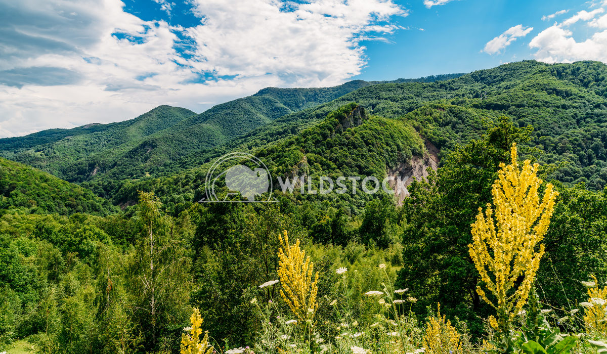 Beautiful Carpathian Mountain Summer Landscape In Romania Radu Bercan Beautiful Carpathian Mountains Summer Landscape In