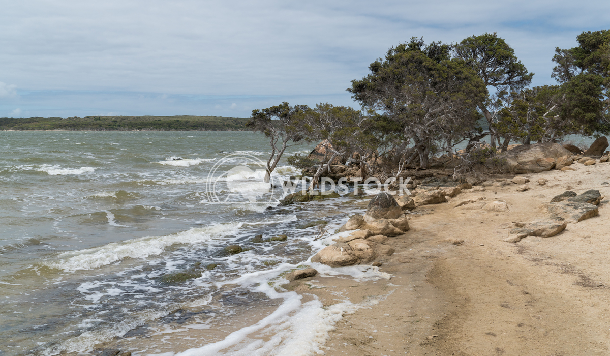 Stokes National Park, Western Australia 1 Alexander Ludwig Lakeside landscape within the Stokes National Park, Western A