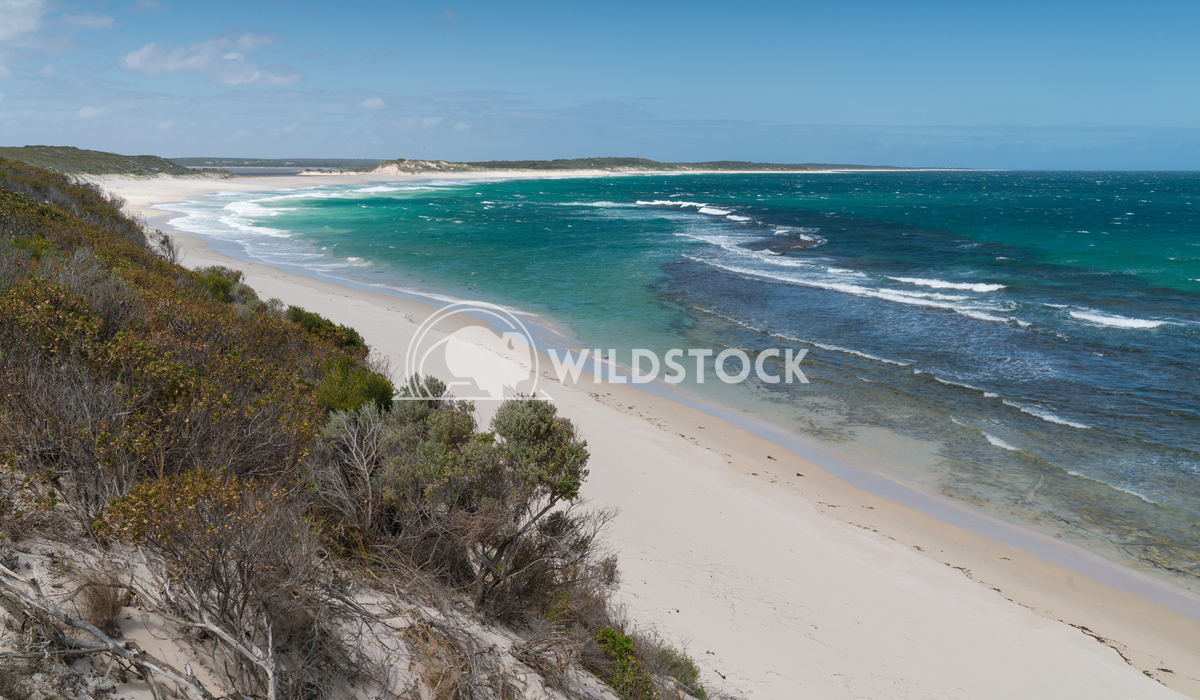 Beach, Fitzgerald River National Park, Western Australia 4 Alexander Ludwig Beautiful place within the Fitzgerald River 