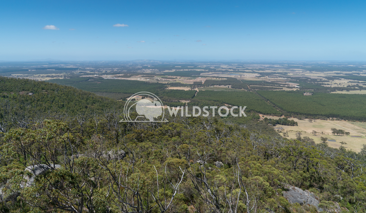 Porongurup National Park, Western Australia 3 Alexander Ludwig Panoramic view from the Castle Rock over the landscape of