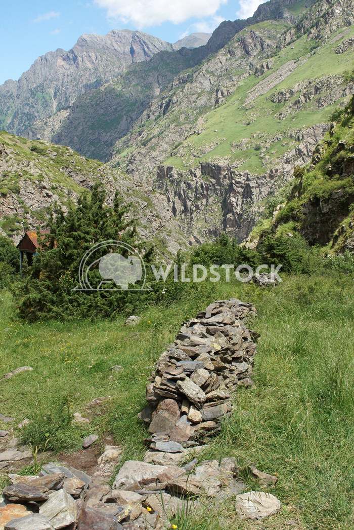 Gveleti High Valley, Caucasus Mountains, Georgia 4 Alexander Ludwig Gveleti High Valley, beautiful landscape along the G