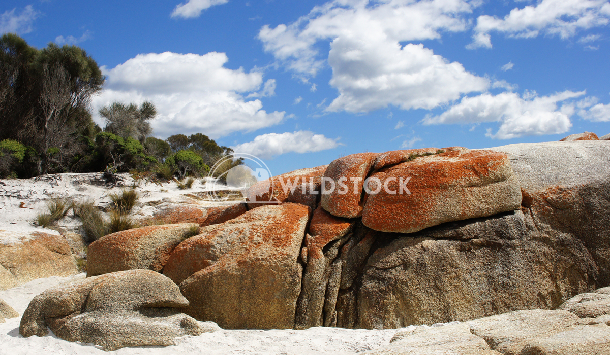 Bay of Fires, Tasmania, Australia 2 Alexander Ludwig Bay of Fires, one of the most beautiful beaches of the world, Tasma