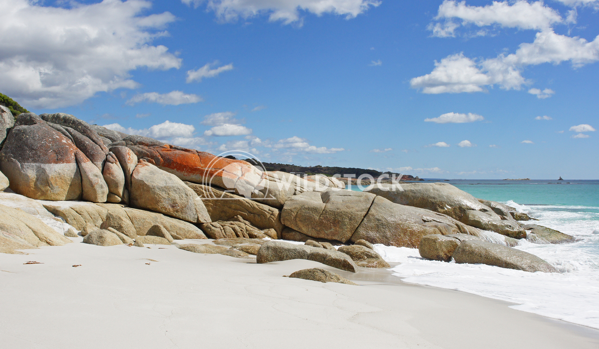 Bay of Fires, Tasmania, Australia 11 Alexander Ludwig Bay of Fires, one of the most beautiful beaches of the world, Tasm