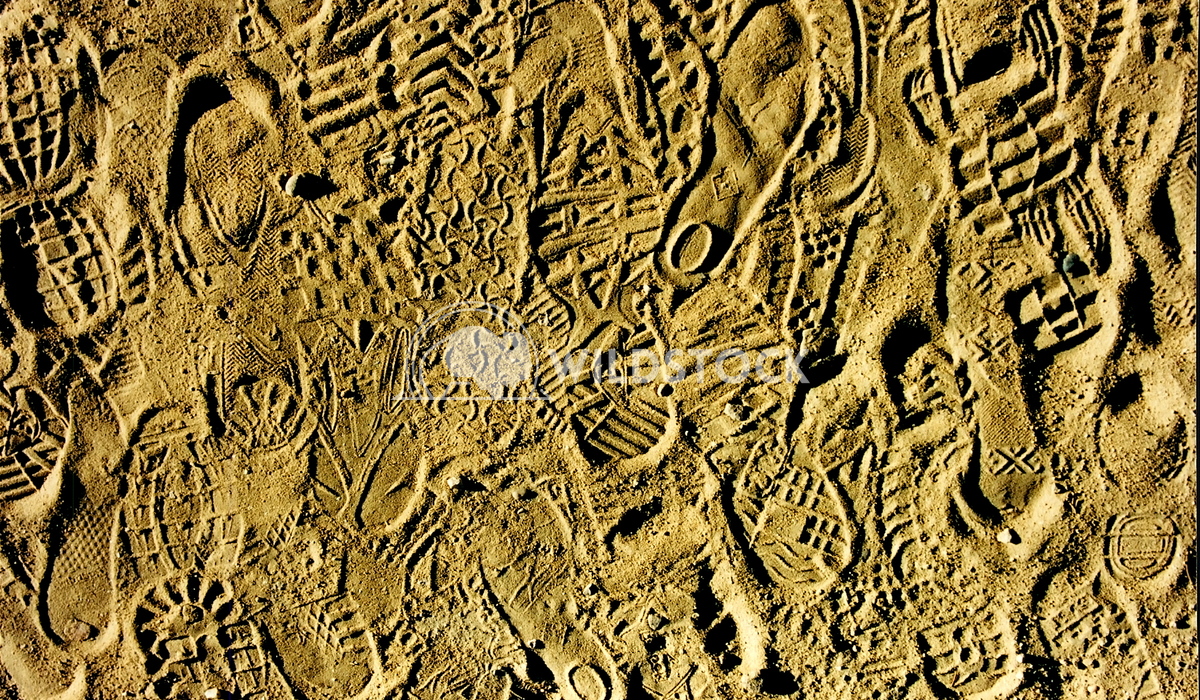footprints John Anglim 