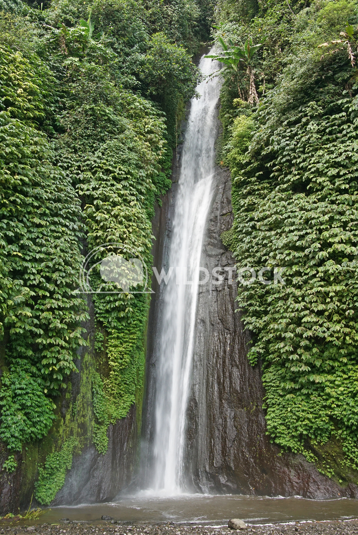 Waterfall, Bali, Indonesia Alexander Ludwig Waterfall of Gitgit, Bali, Indonesia