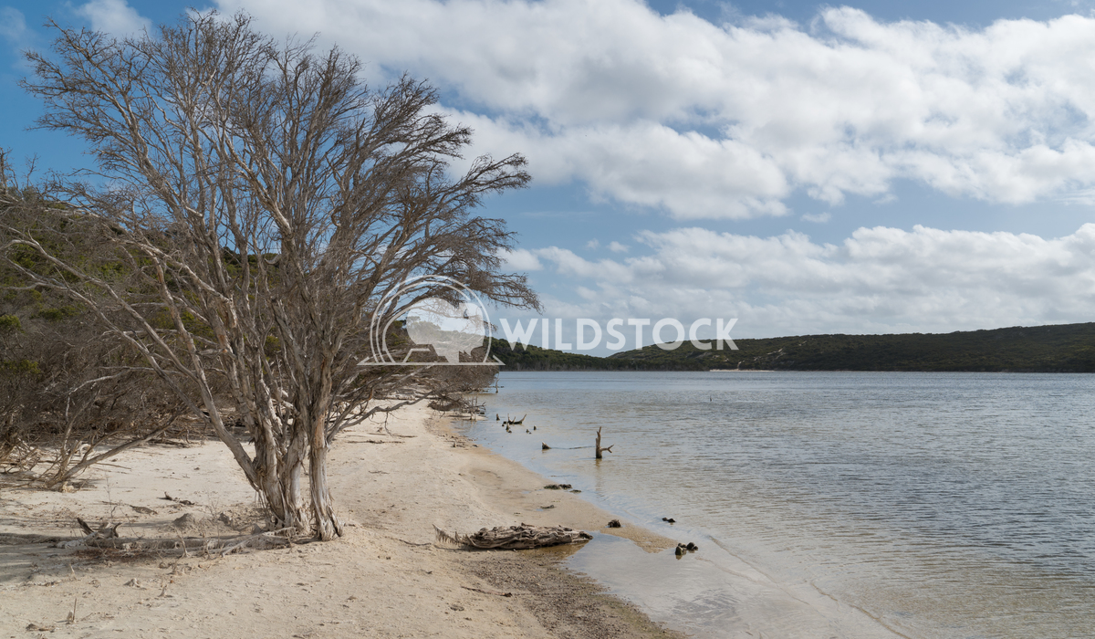 Hamersley Inlet, Fitzgerald River National Park, Australia 1 Alexander Ludwig Hamersley Inlet, beautiful place within th