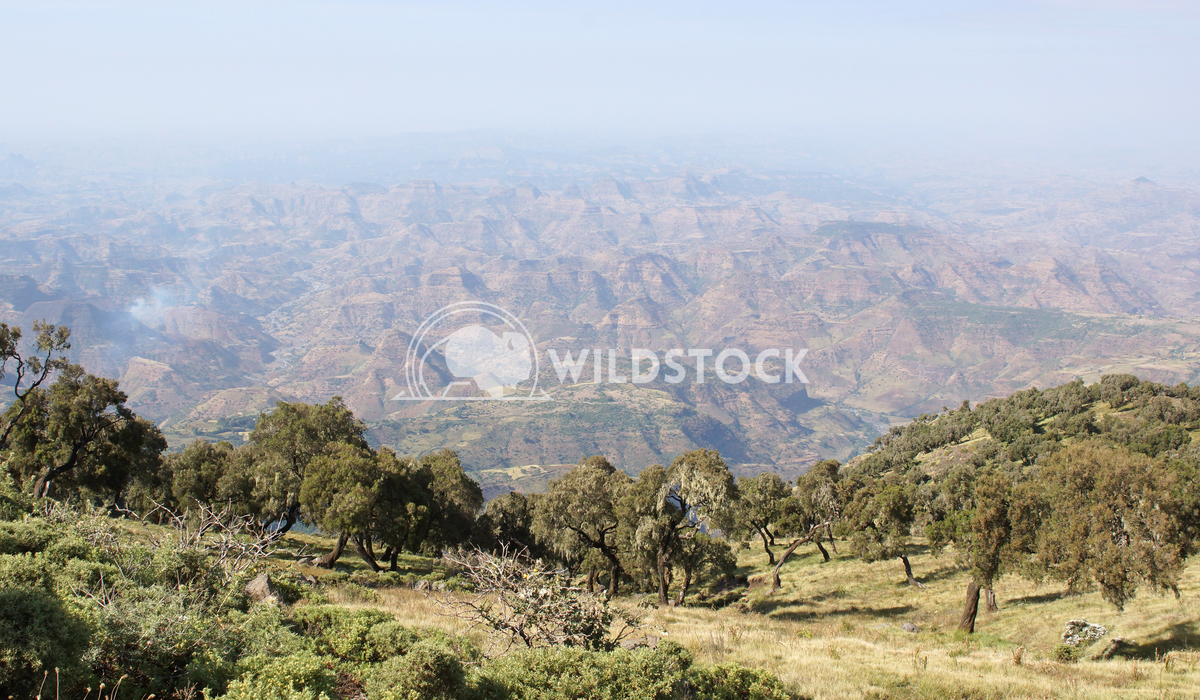 Semien Mountains National Park, Ethiopia, Africa 1 Alexander Ludwig Panorama of the landscape of Semien Mountains Nation