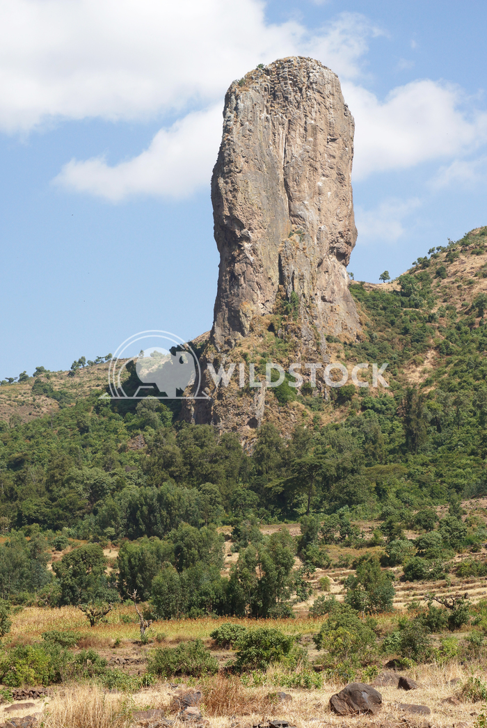 Vultures rock, Ethiopia, Africa 1 Alexander Ludwig Vultures rock close to Gondar, Ethiopia, Africa