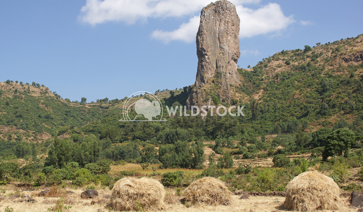 Vultures rock, Ethiopia, Africa 2 Alexander Ludwig Vultures rock close to Gondar, Ethiopia, Africa