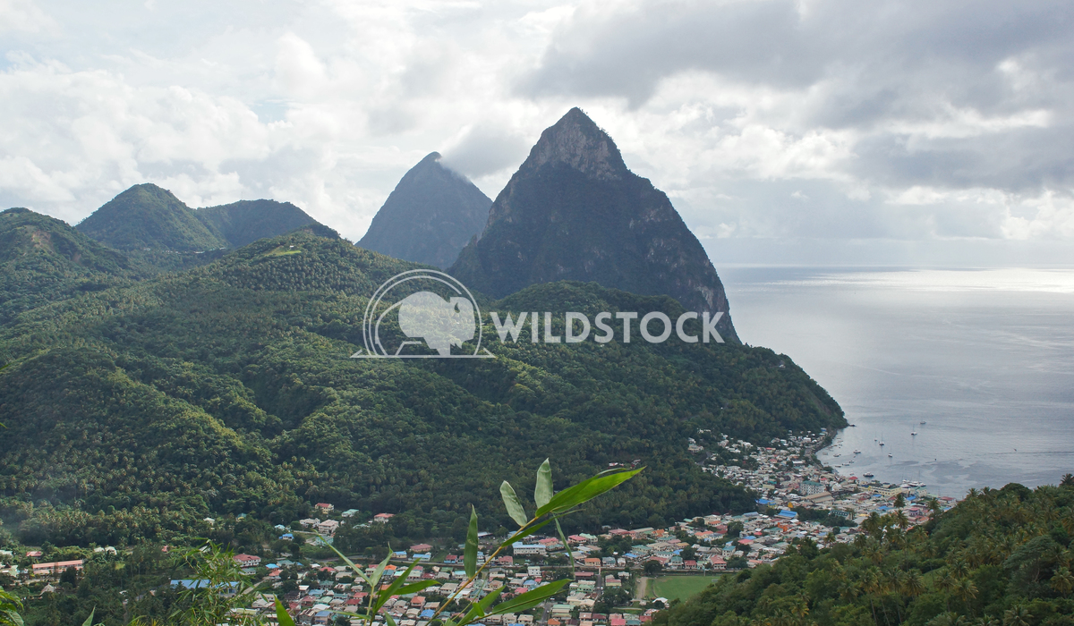 Deux Pitons, Saint Lucia, Caribbean 1 Alexander Ludwig View over Soufriere with the famous volcano peaks of the Pitons i