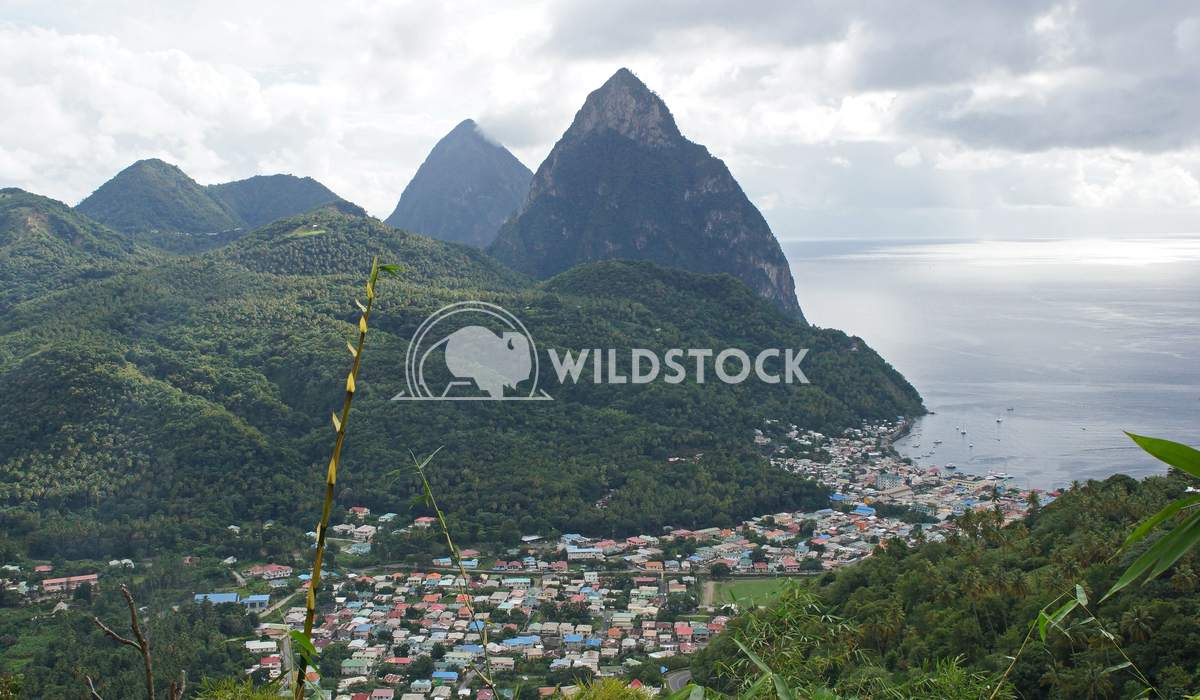 Deux Pitons, Saint Lucia, Caribbean 2 Alexander Ludwig View over Soufriere with the famous volcano peaks of the Pitons i