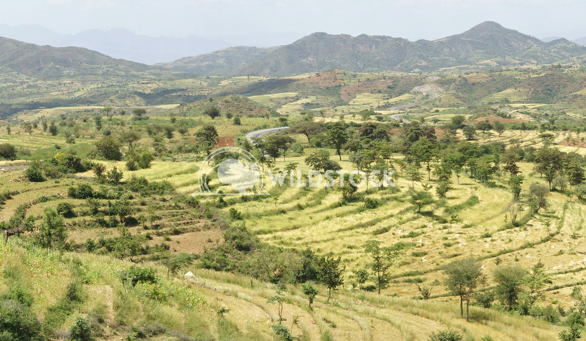 Landscape, Ethiopia, Africa 5 Alexander Ludwig Traditional terraced fields of Konso people, Ethiopia, Africa