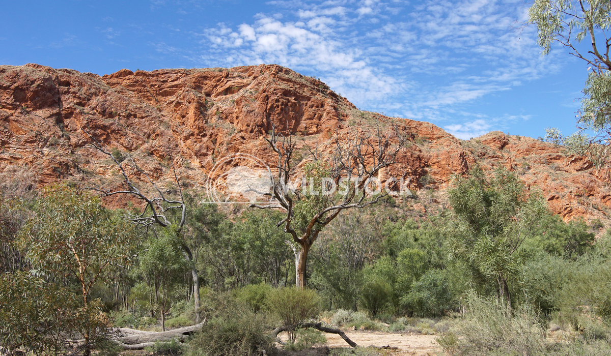 East MacDonnell Ranges, Australia 8 Alexander Ludwig East MacDonnell Ranges, Northern Territory, Australia