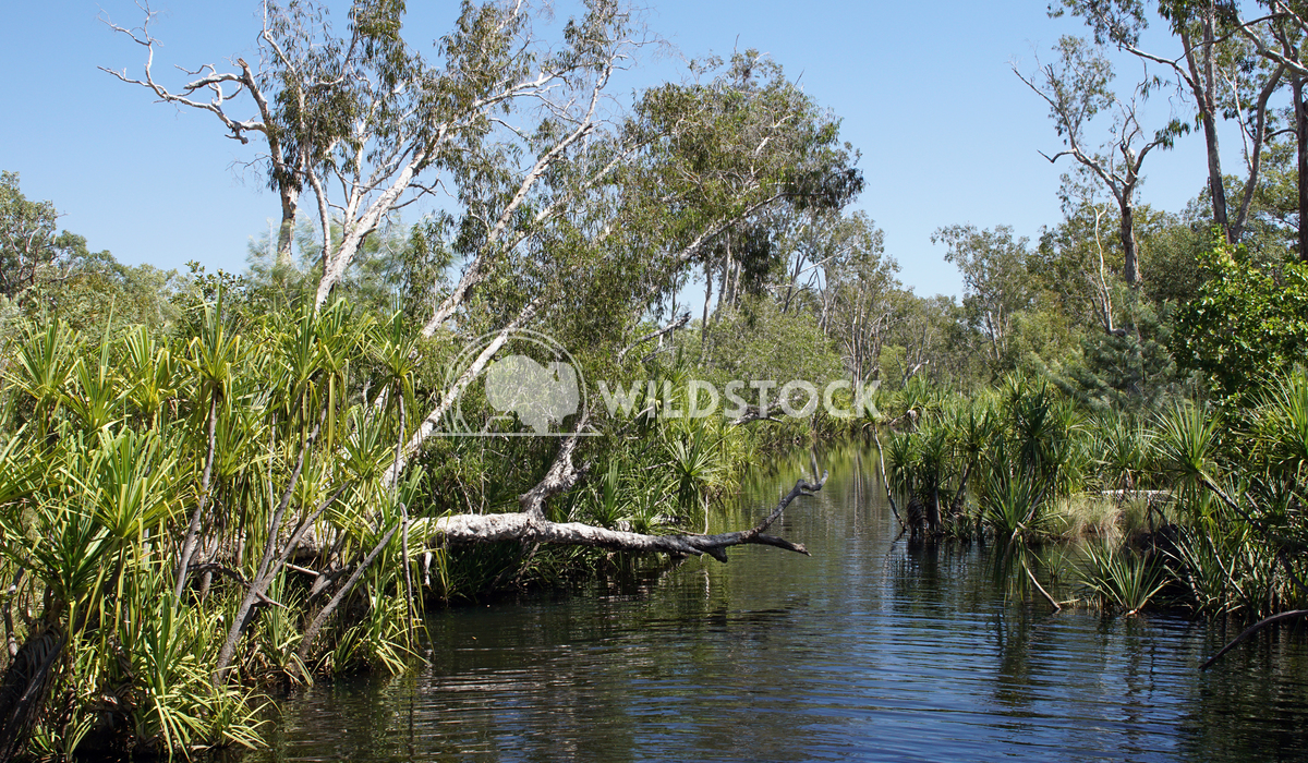 Nitmiluk National Park, Australia 14 Alexander Ludwig Landscape of the Nitmiluk National Park, Australia