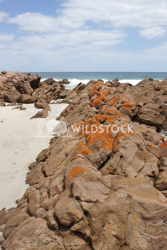 Stokes Bay, Kangaroo Island, South Australia 2 Alexander Ludwig Beach of Stokes Bay on Kangaroo Island, South Australia