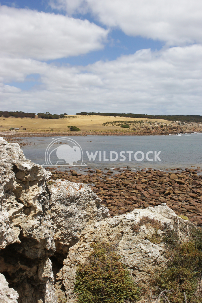 Stokes Bay, Kangaroo Island, South Australia 1 Alexander Ludwig Beach of Stokes Bay on Kangaroo Island, South Australia