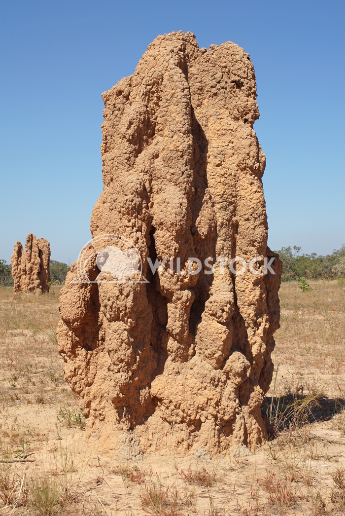 Kakadu National Park, Australia  1 Alexander Ludwig Termite mound, Kakadu National Park, Australia