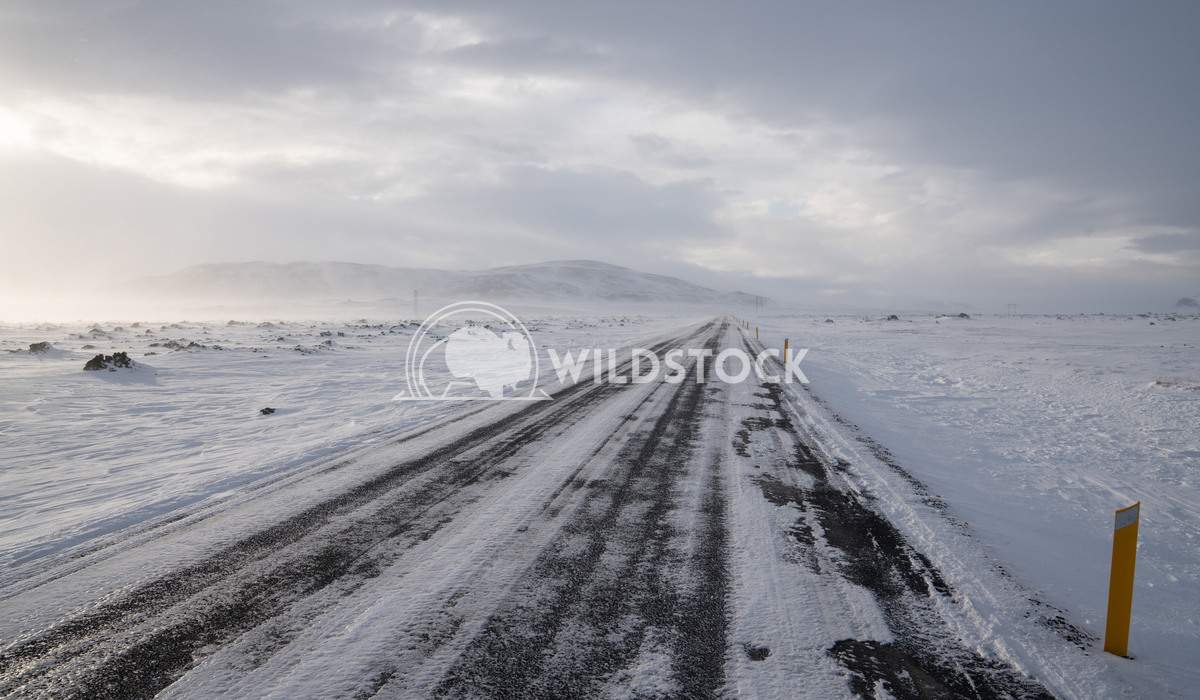 Blizzard, Iceland, Europe 1 Alexander Ludwig Road into the blizzard, winter in Iceland, Europe