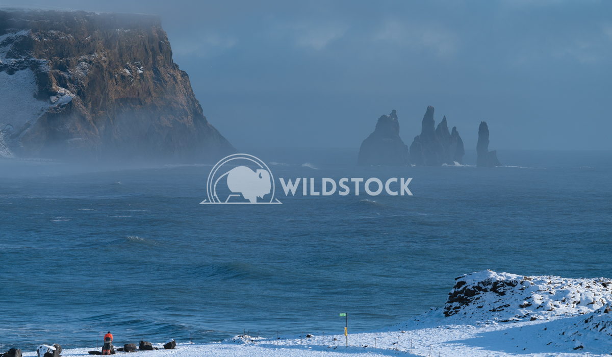 Cape Dyrholaey, Iceland 7 Alexander Ludwig Panoramic image of the coastal landscape of Cape Dyrholaey on a winter day wi
