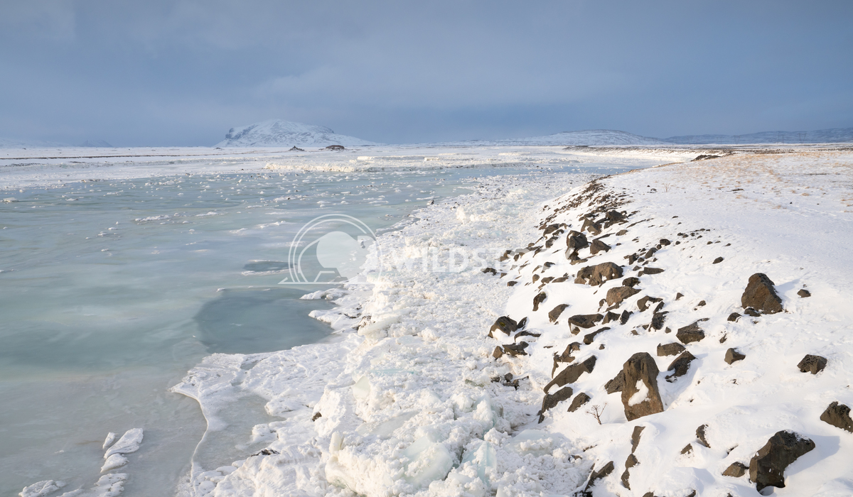 Frozen river, Iceland, Europe 3 Alexander Ludwig Panoramic view on a frozen river, winter in Iceland, Europe