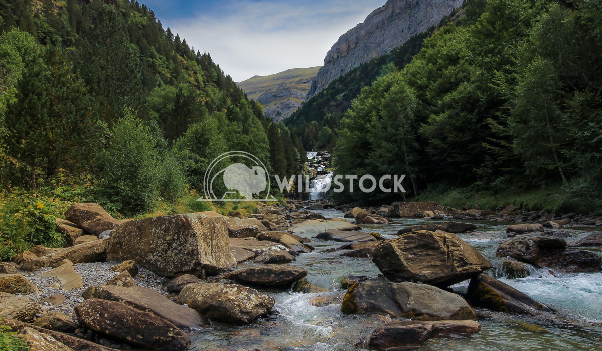 Wild river in Monte Perdido.	 Jaime Navas  