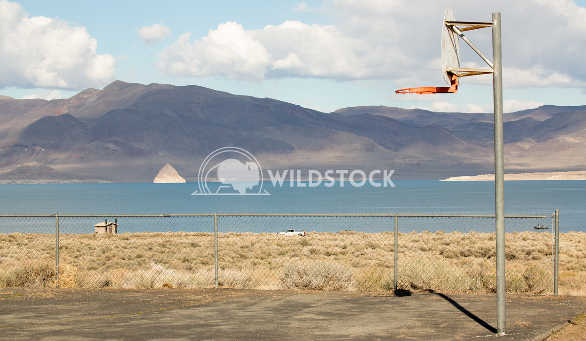 Pyramid Lake, Dunkers Needed Henry McCluster 