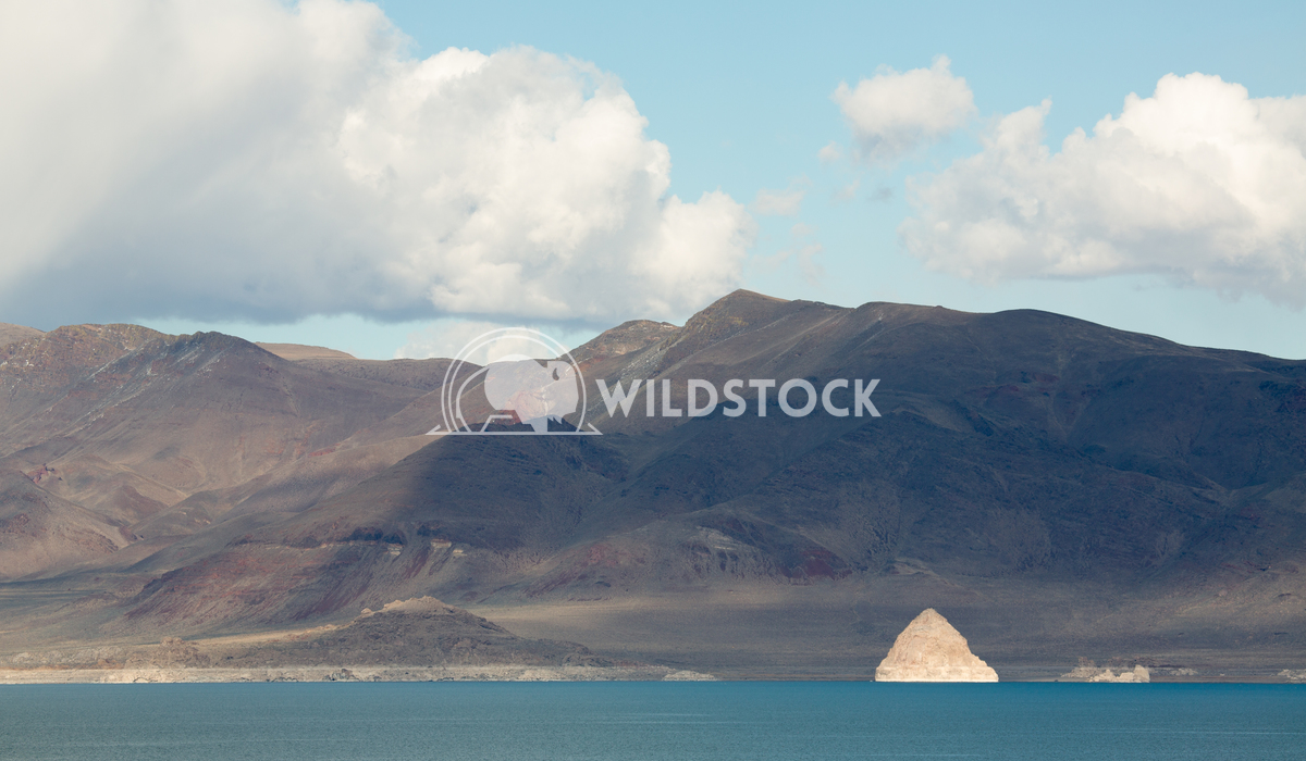 Pyramid Lake, Shining Through Henry McCluster 
