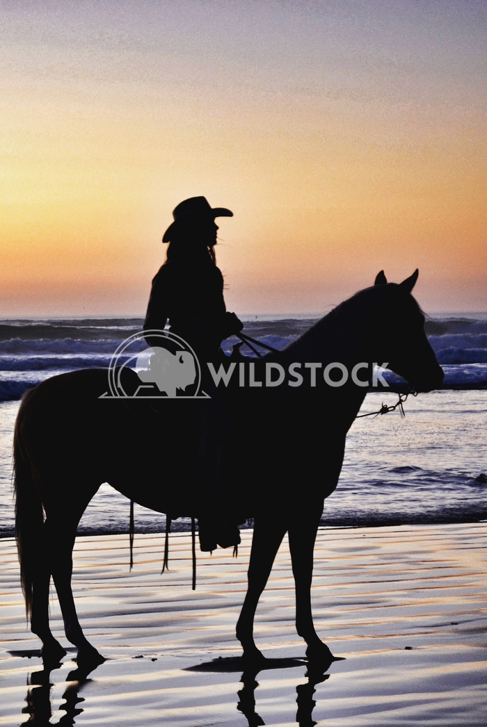 California's Cowgirl Carolyne Vowell 