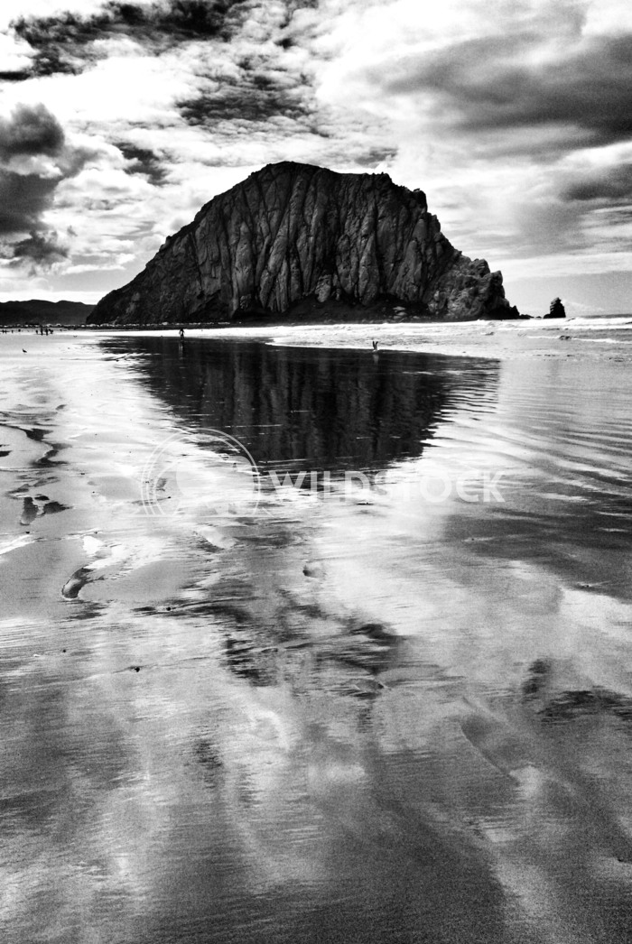 Morro Strand Reflection Carolyne Vowell One of the great surf spots and tourist locations along the central coast in Mor