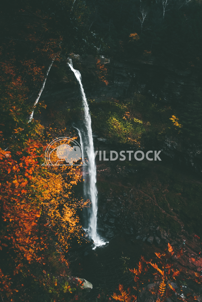 Autumn Waterfall 2 Carolyne Vowell Colors of autumn in New York over a waterfall.