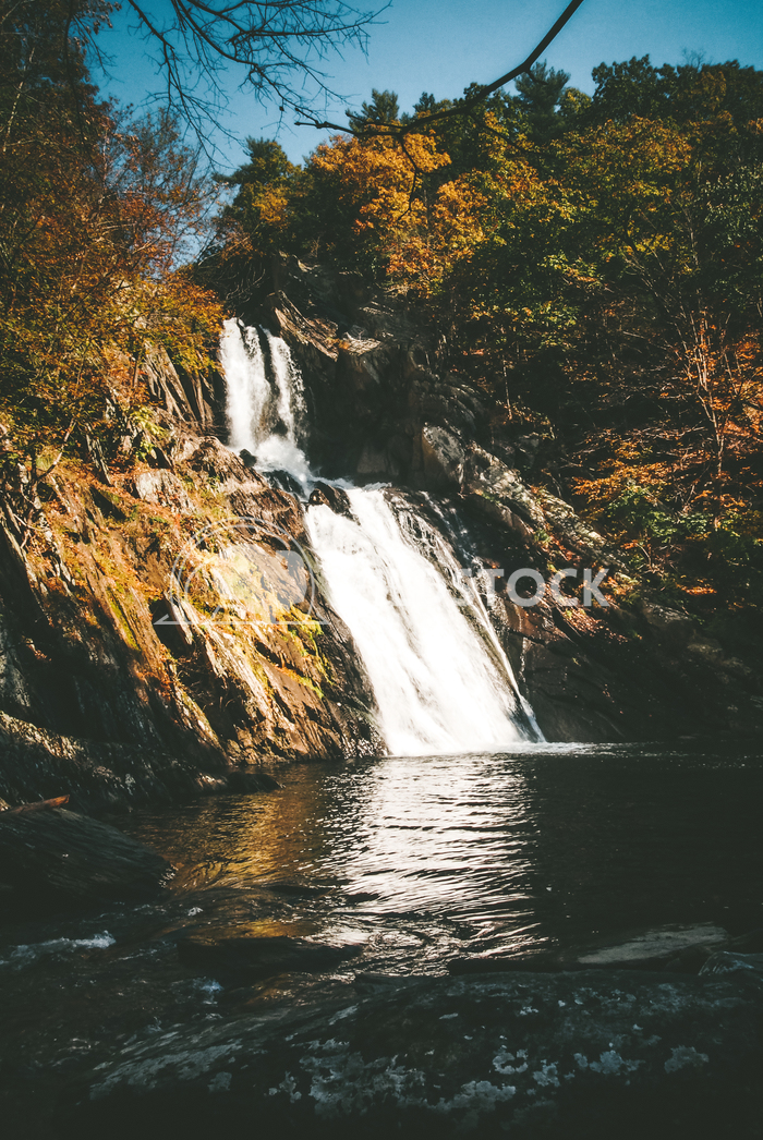 Waterfall into River at Autumn Carolyne Vowell Looking up at a waterfall flowing into a river flowing through a forest f