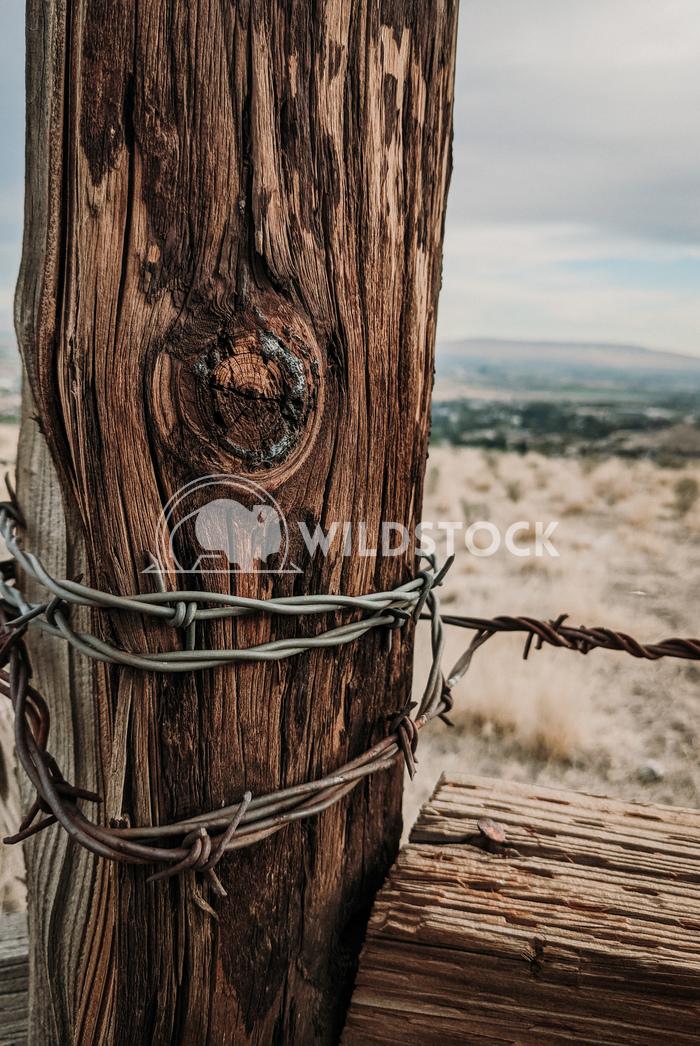 Wooden Fence Post Carolyne Vowell Barbed wire wrapped around a wooden fence post.