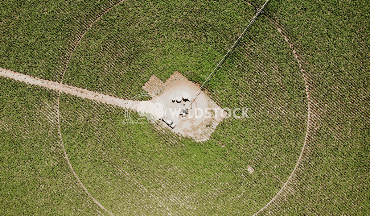 Center Crop Circle Carolyne Vowell Aerial view of the inner crop circle during summer.