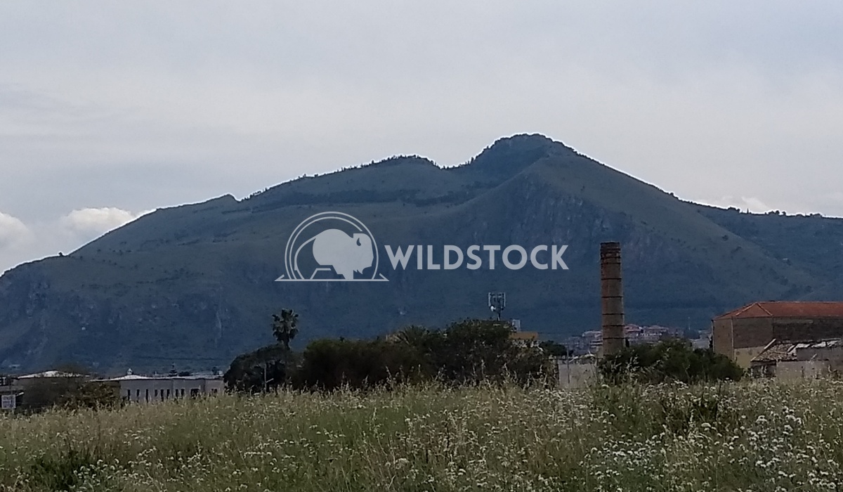 Sizilian Mountain   