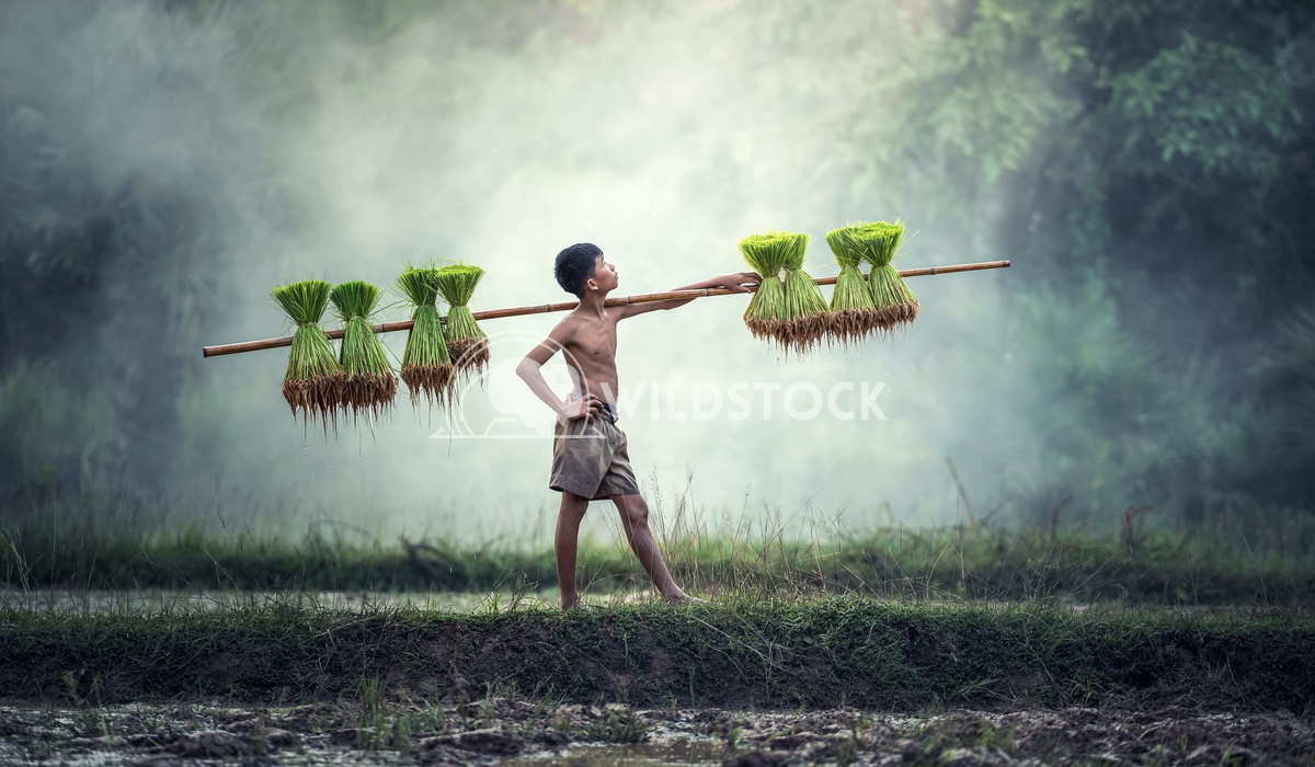 young farmer nyi nyi Natural beauty is everywhere