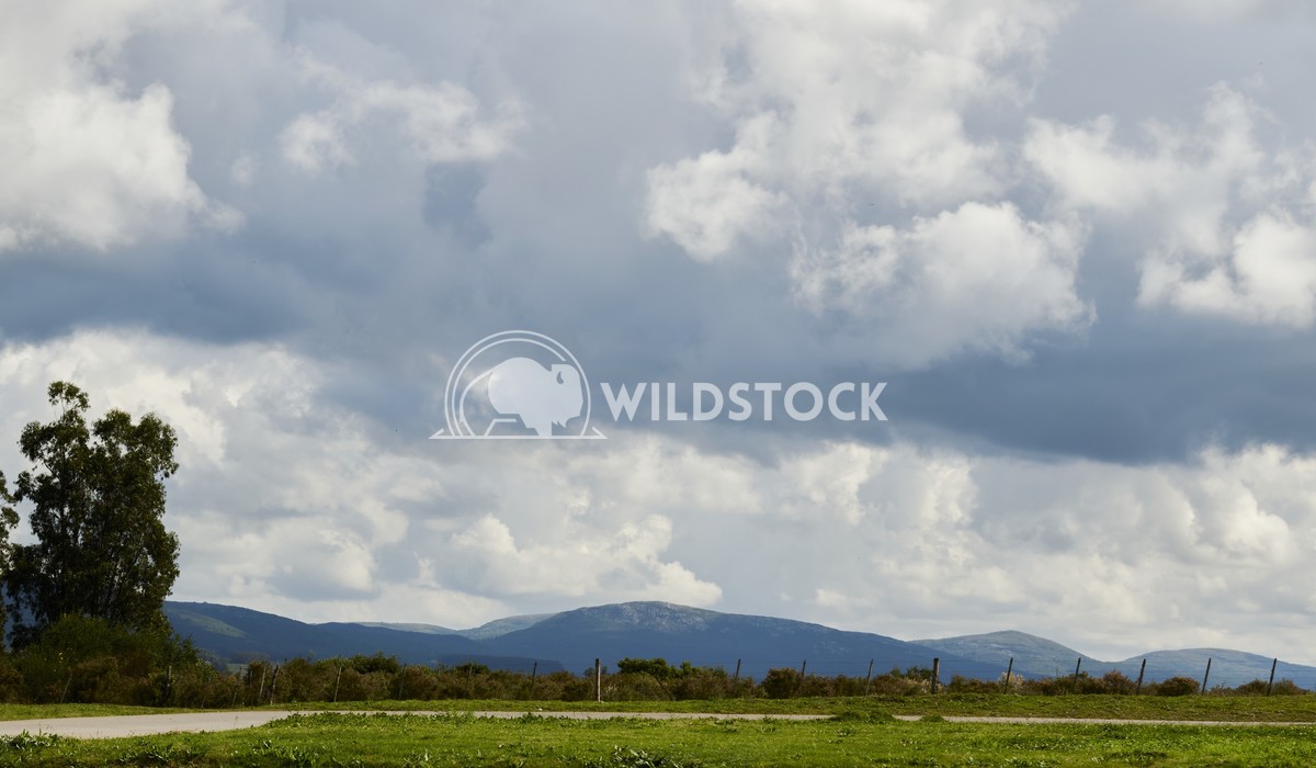 Cerro pan de azucar city of Maldonado Uruguay German Suarez Landscape of the Pan de Azucar hill located in the city of M