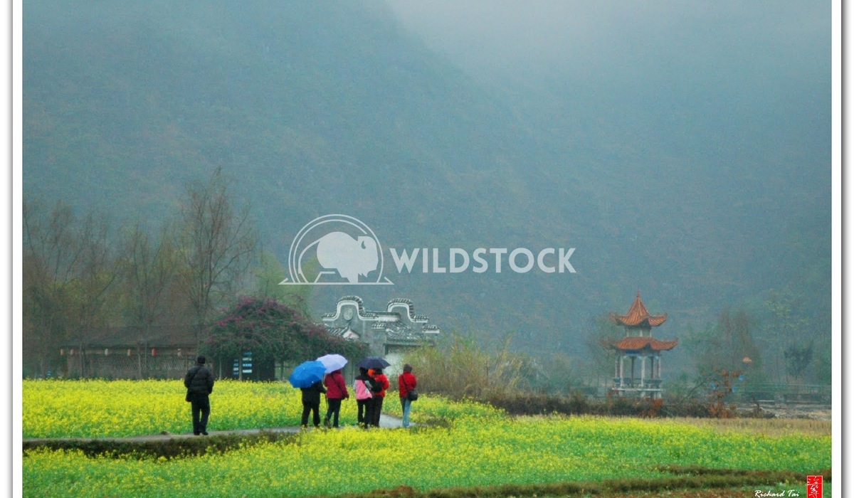 Village  白照 黑 