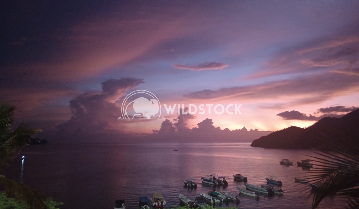 Sunset over Taganga Ty Shealy Every day ends with the hope that tomorrow is going better.