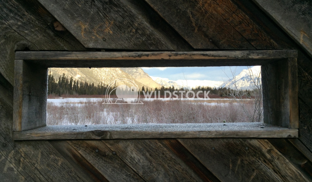 Banff View From Bird Blind Ronnie Knox 