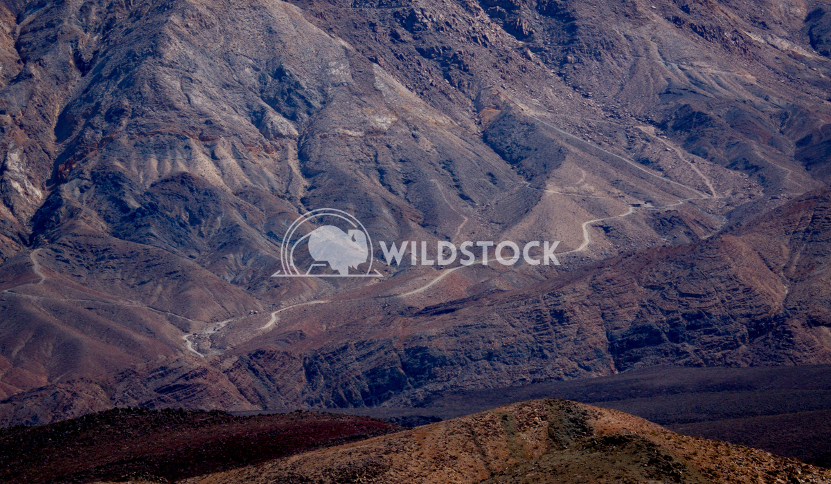 Maroon Hues in Death Valley Henry McCluster 